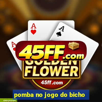 pomba no jogo do bicho